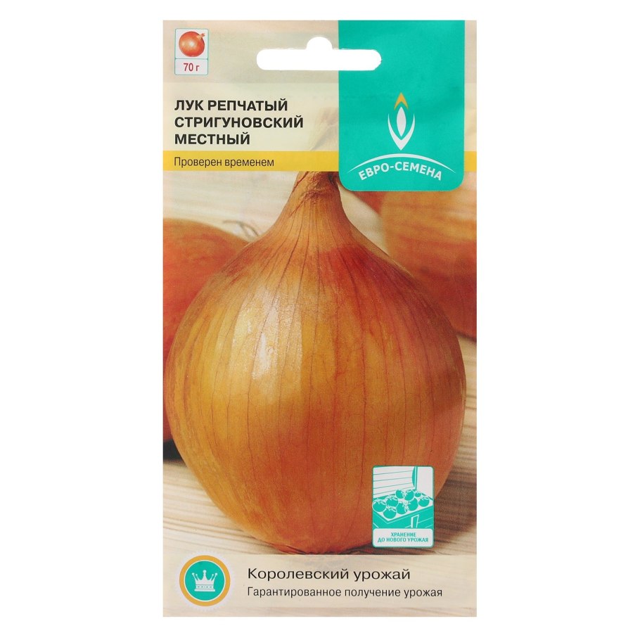 Лук-севок Стригуновский местный
