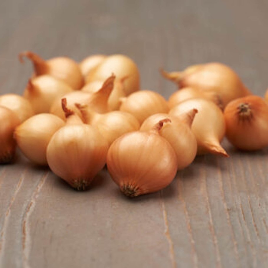 Лук севок золотистый Семко