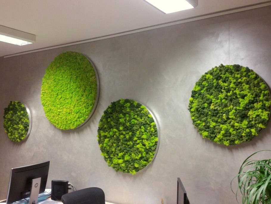 Экопанель мох