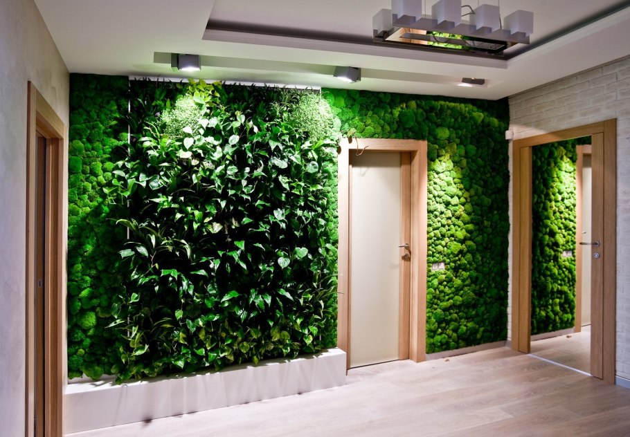 Фитостена вертикальное Озеленение