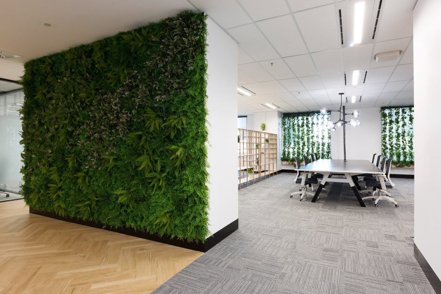 Фитостена плющ