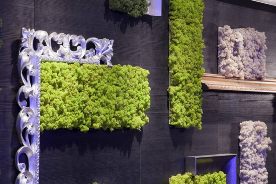 Фотозона из стабилизированного мха