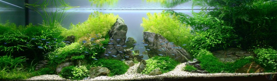 Вода Антисушняк