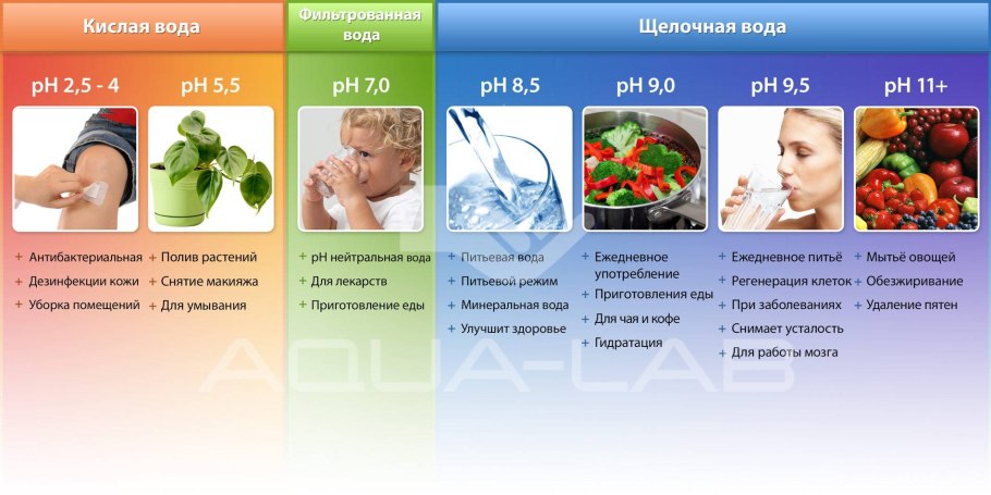 Лимнофила водная аквариумное растение