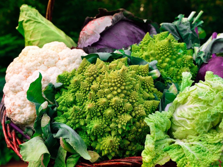 Листовая пекинская капуста