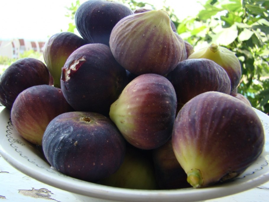 Инжир Black Mission