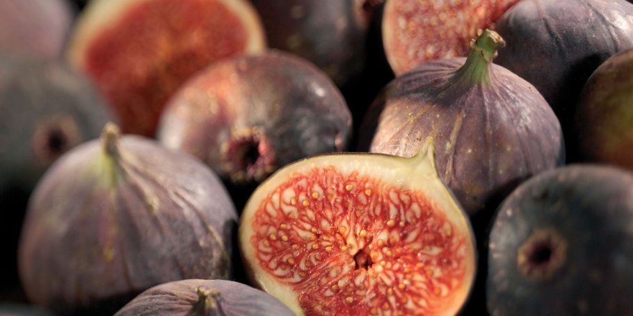 Смоковница обыкновенная