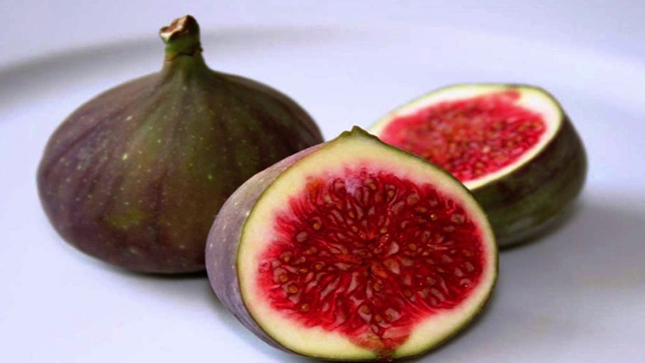 Древний фрукт