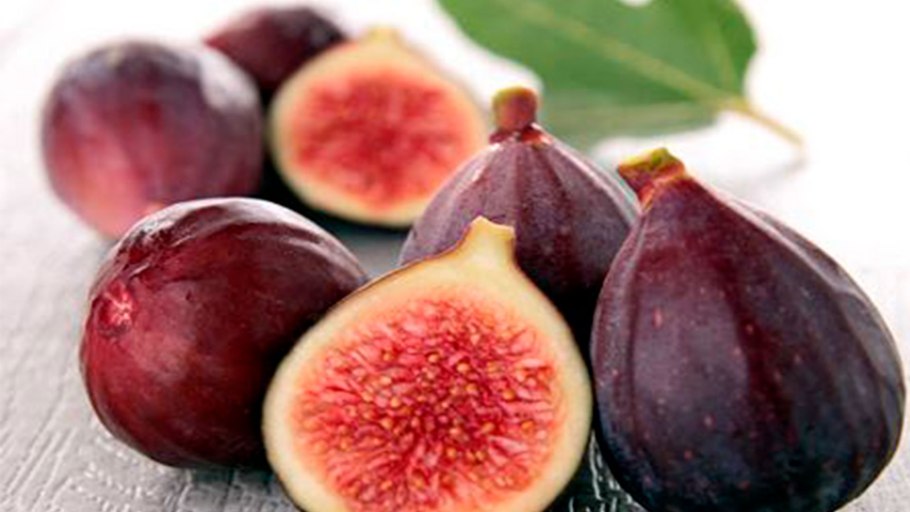 Инжир фиговое дерево