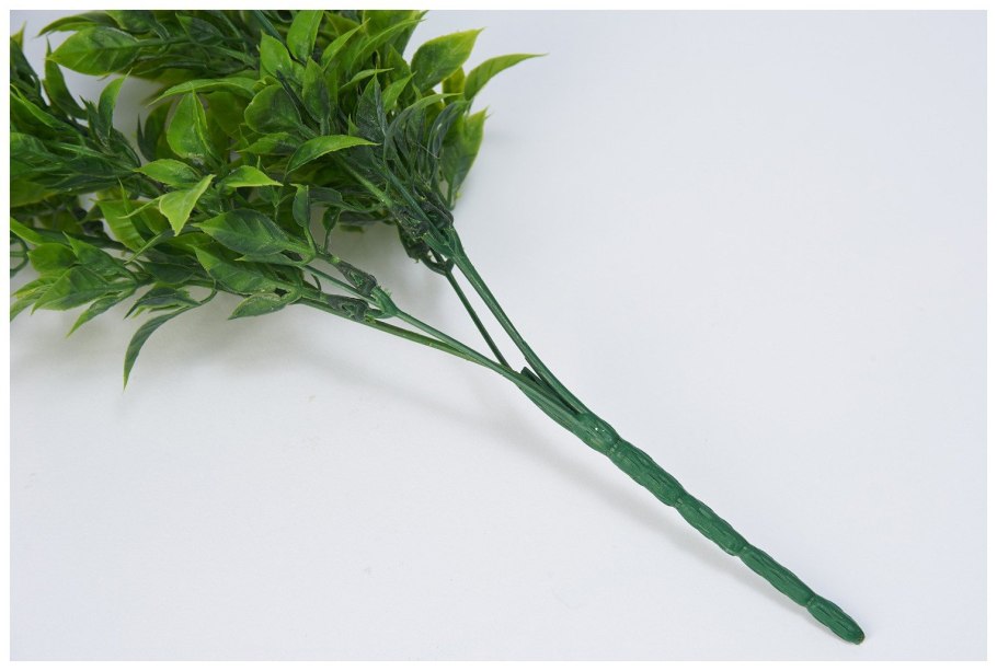 Рускус эвкалипт