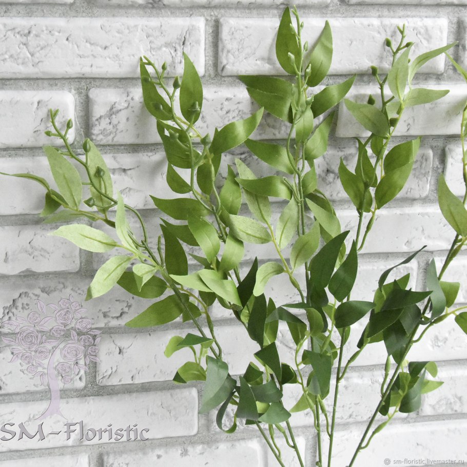 Рускус тинтед дарк Блу