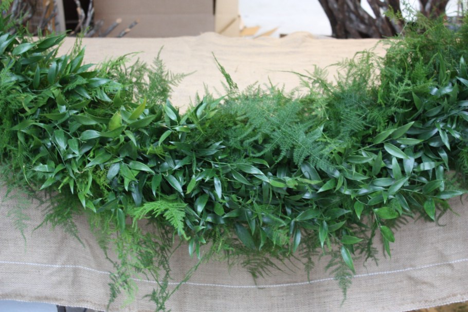 Коккулюс 200