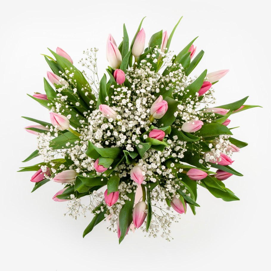 Эвкалипт сорта срезка