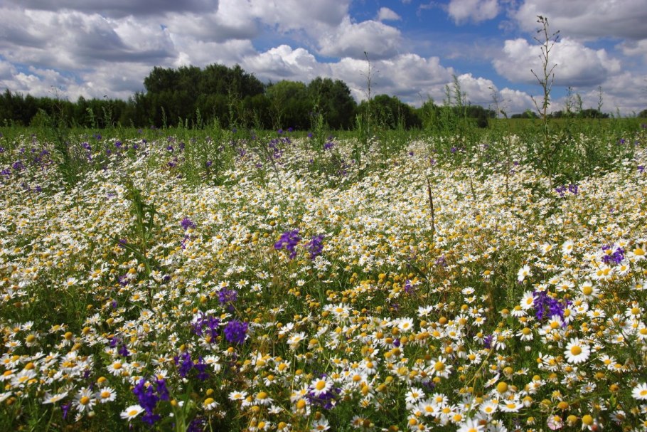 Красивые просторы природы