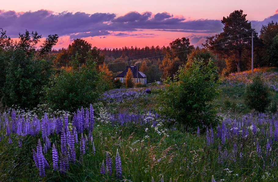 Красивые Деревенские пейзажи