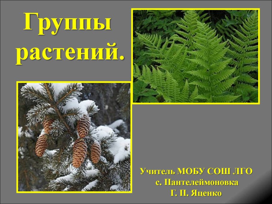 Губанов определитель растений