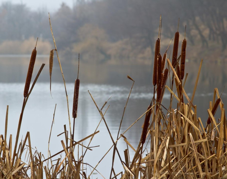 Лодка вмёрзла