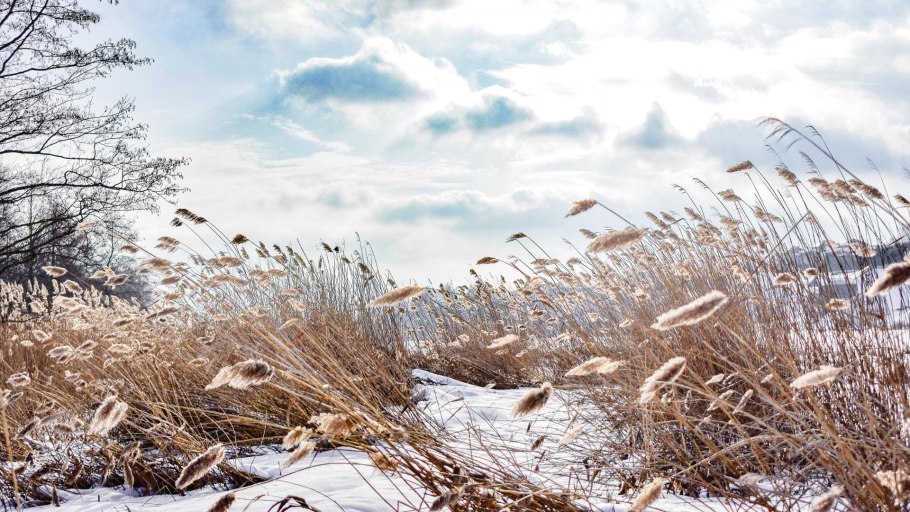 Природа капель