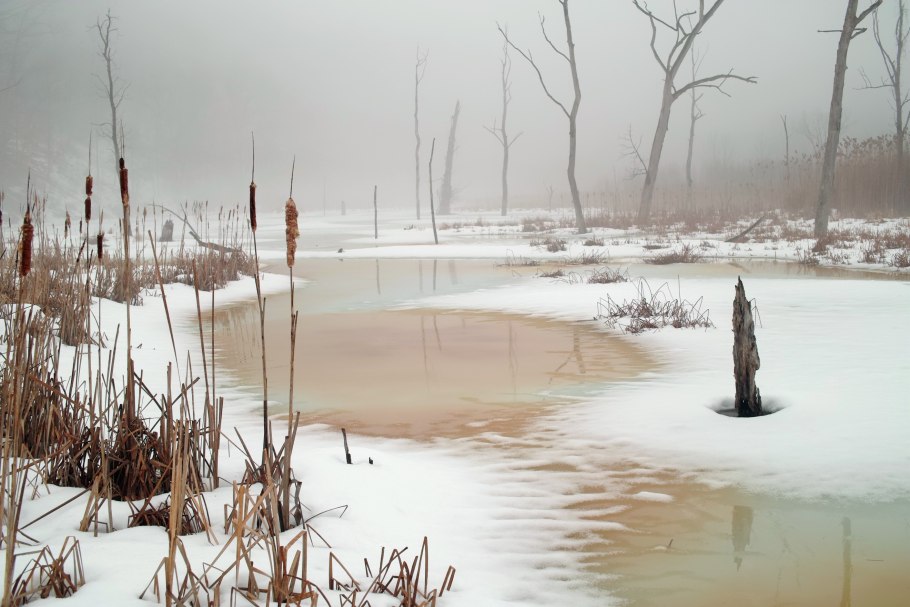 Солома на снегу