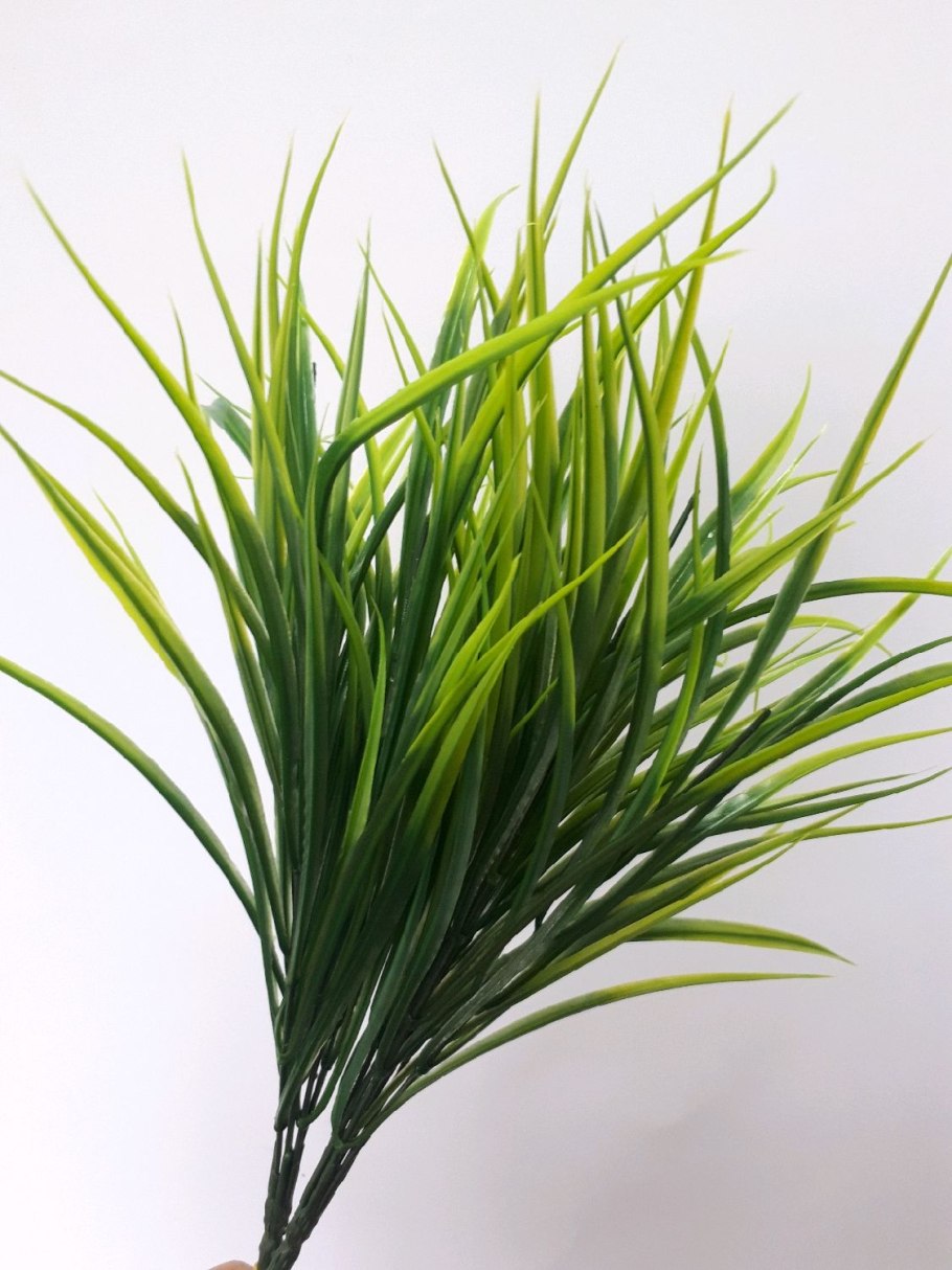 Букет осоки 7 веток 1024