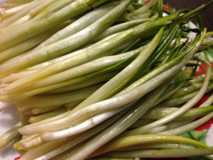 Черемша (Allium victorialis)