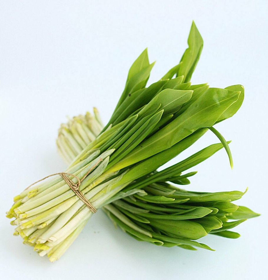 Черемша Сибирская