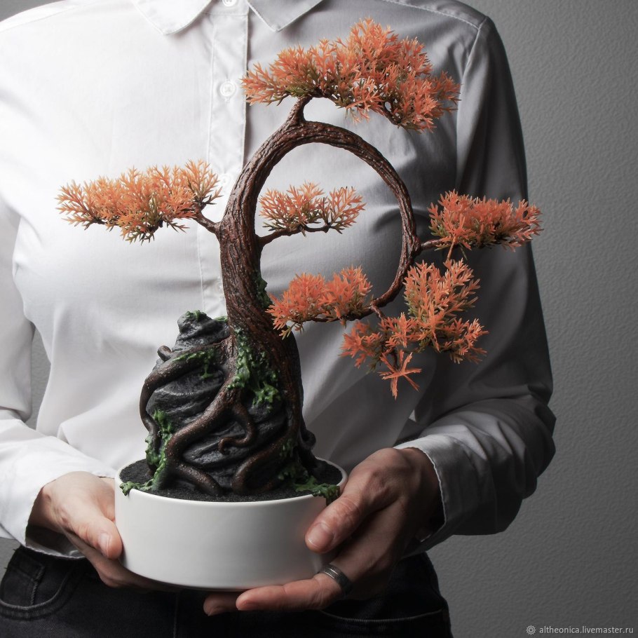 Семена дерева бонсай