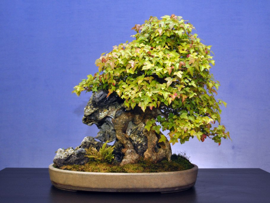 Достаток и благополучие