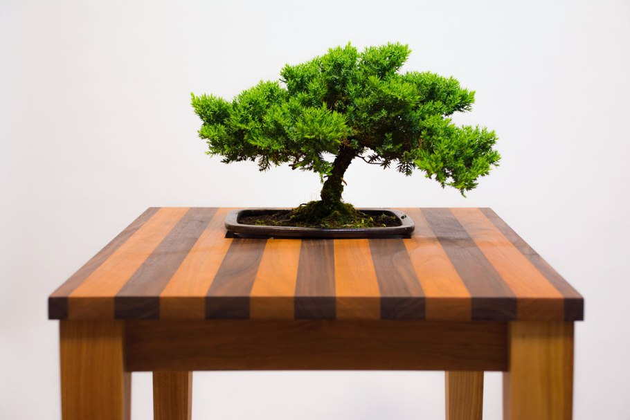 Столик для бонсай
