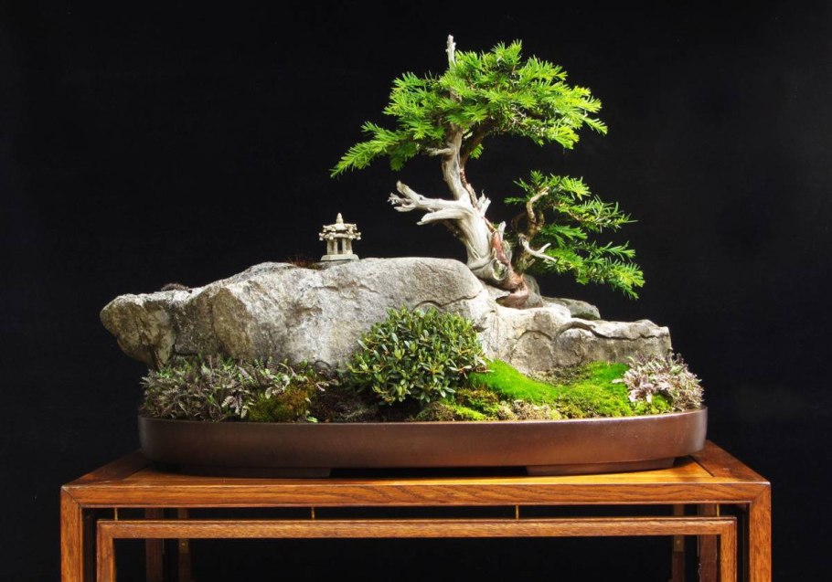 Цветущий бонсай из