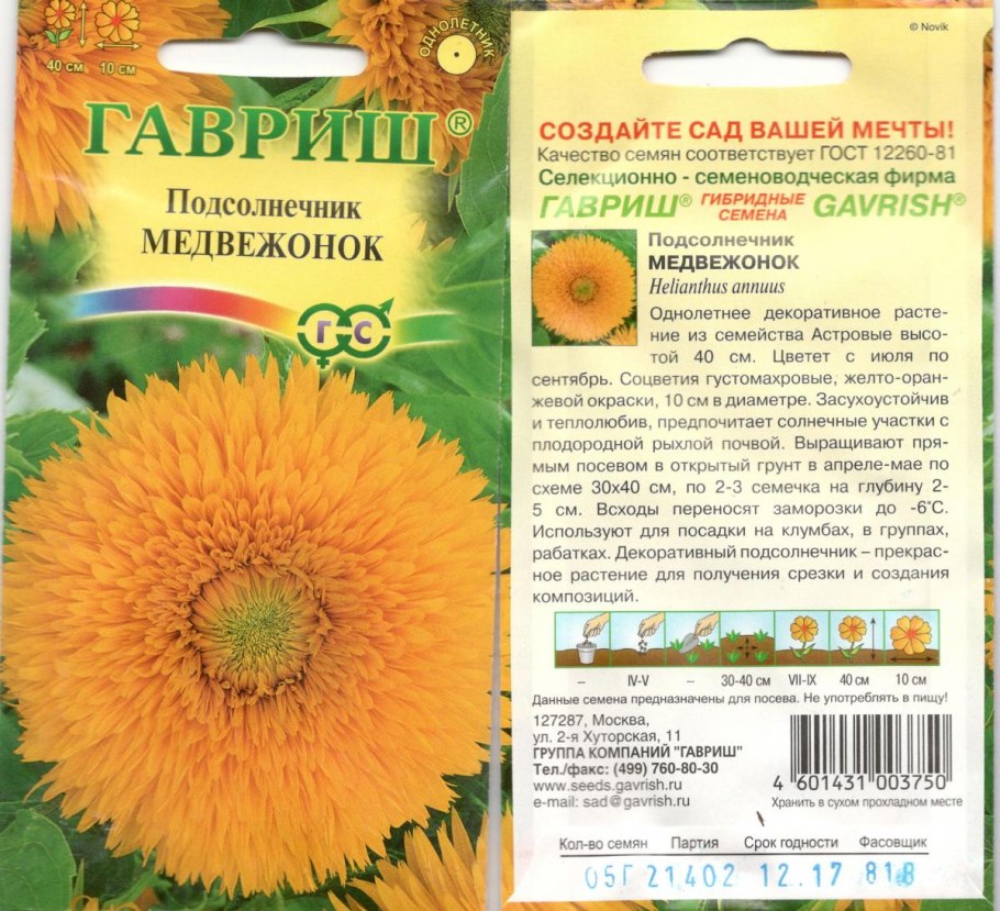 Подсолнух Джайнт Санголд (giant Sungold)