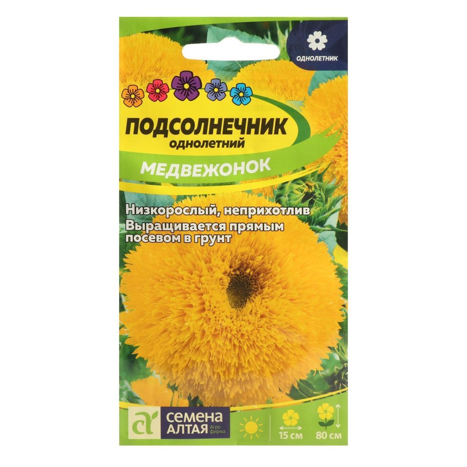 Желтые пушистые цветы