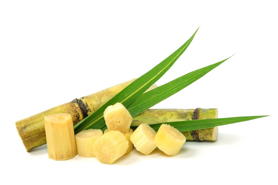 Сахарный тростник сахар