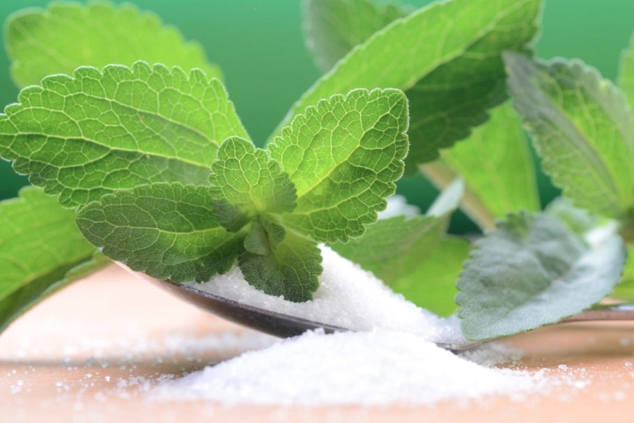 Стевия Stevia rebaudiana Sweety