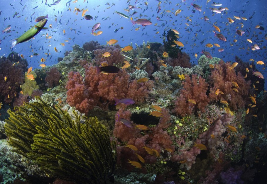 Морское дно