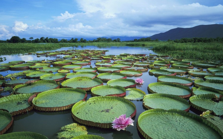 Озеро Вьедма