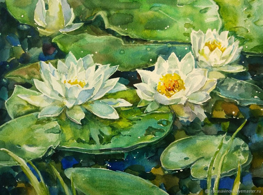Кувшинки живопись акварелью