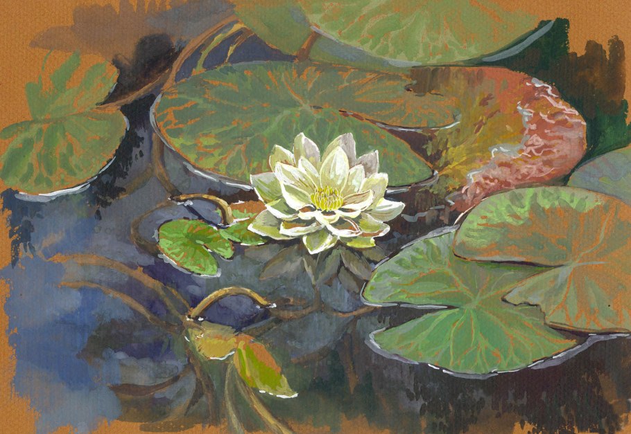 Лист кувшинки акварелью