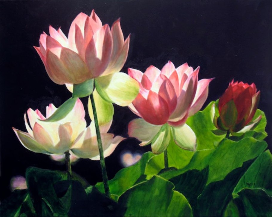 Цветы лотоса живопись