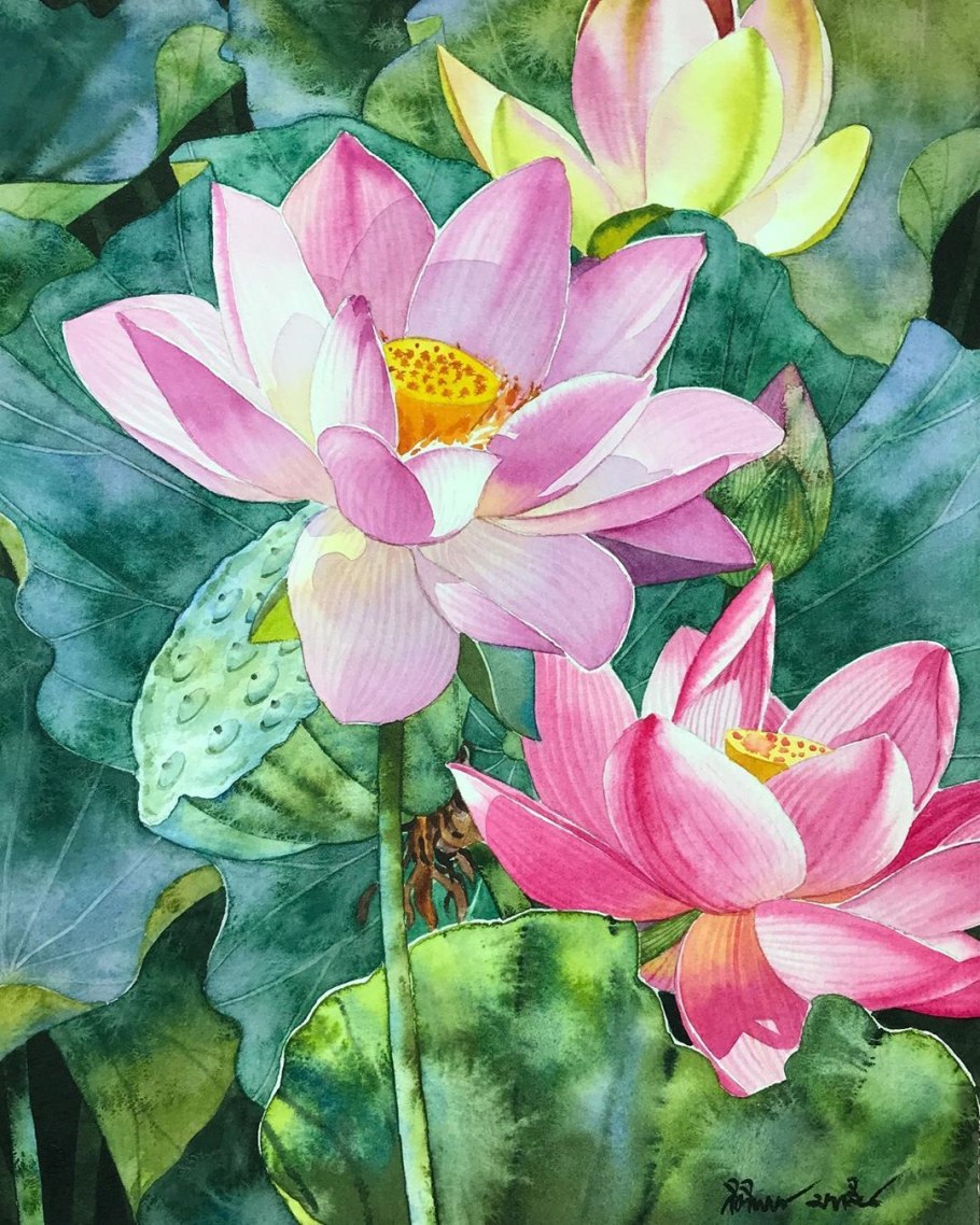 Цветок лотоса акварель