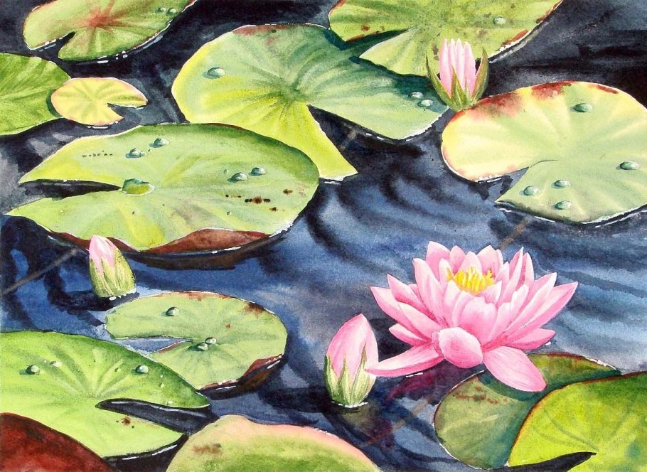 Жаньячик кувшинки