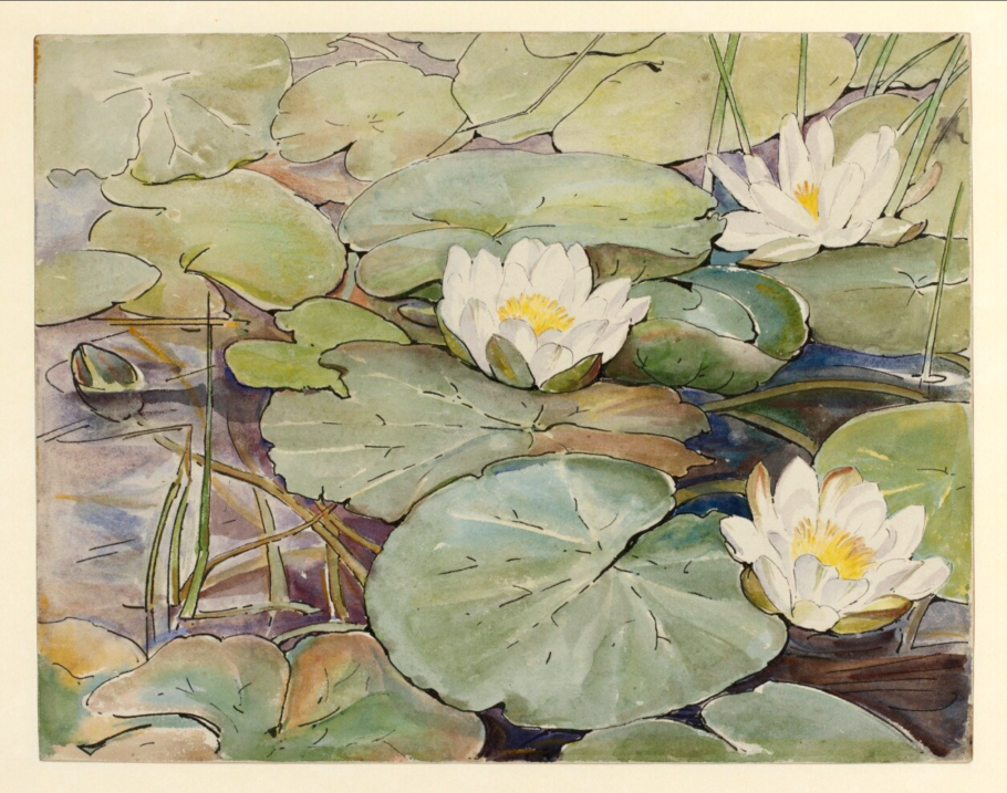 Беатрис Поттер кувшинки