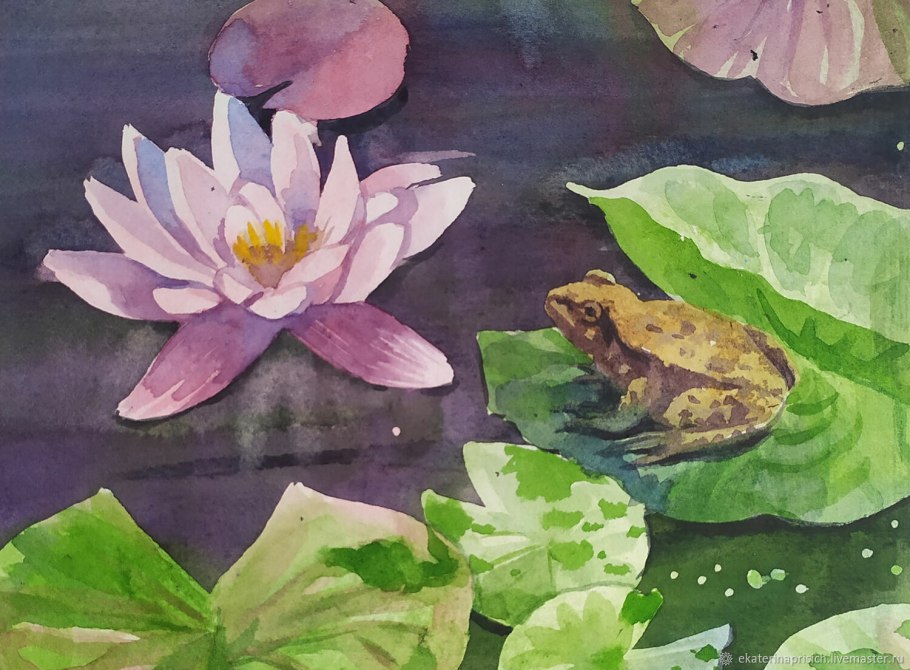 Кувшинка белая акварель