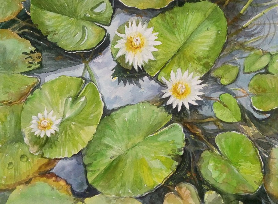 Водяные лилии акварель