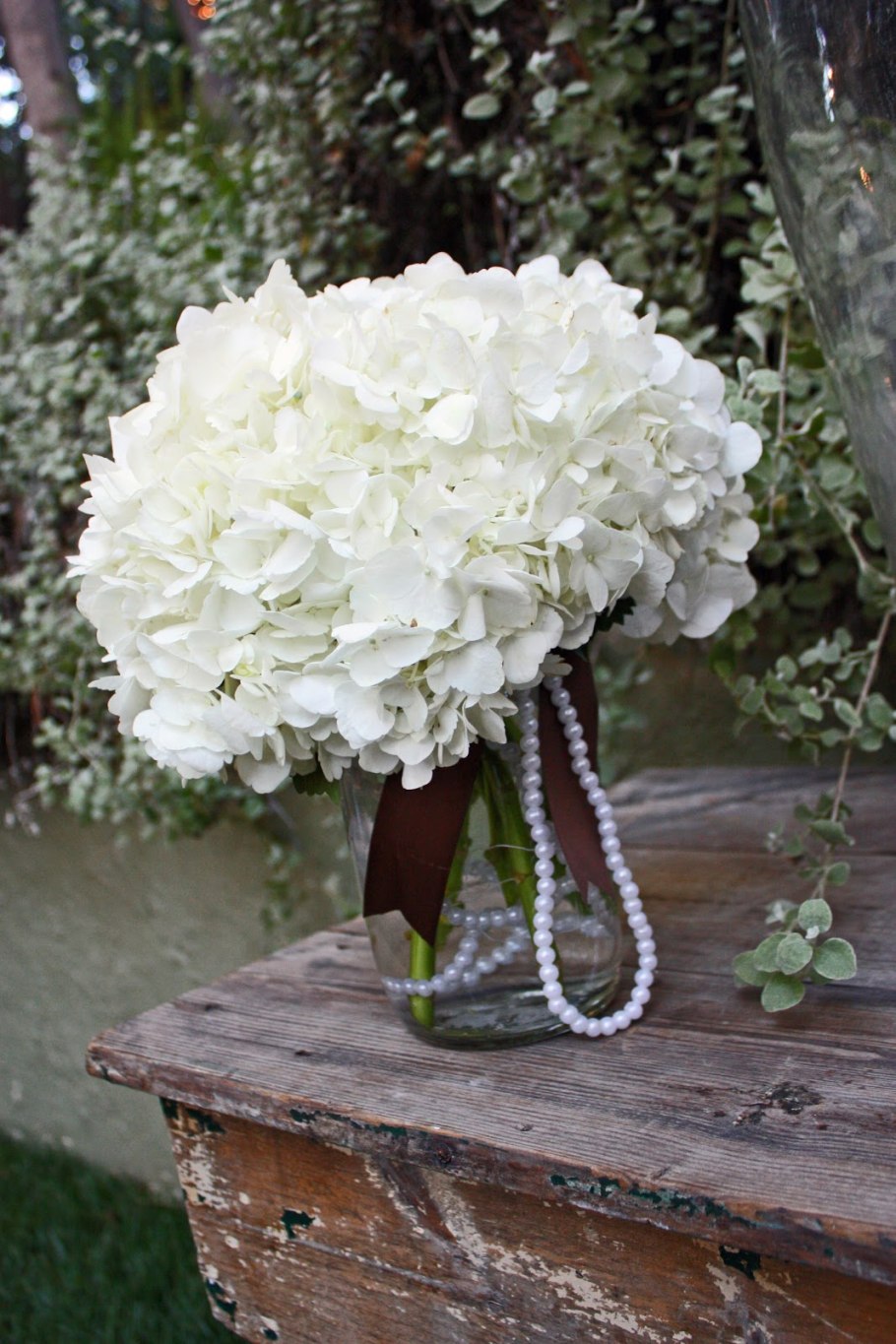 Гортензия Сбежавшая невеста обрезка