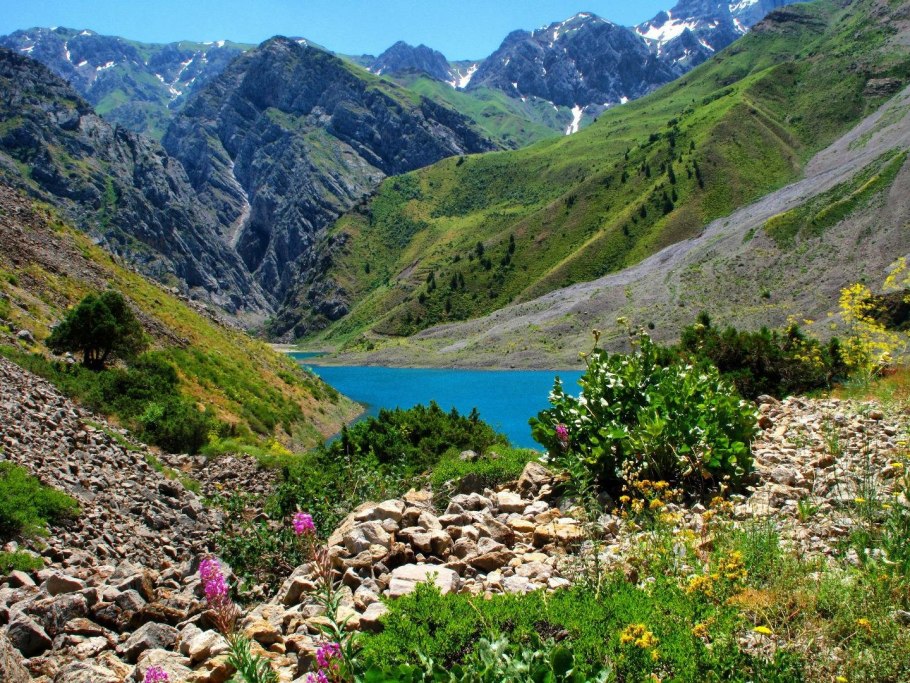 Остров Борнео джунгли