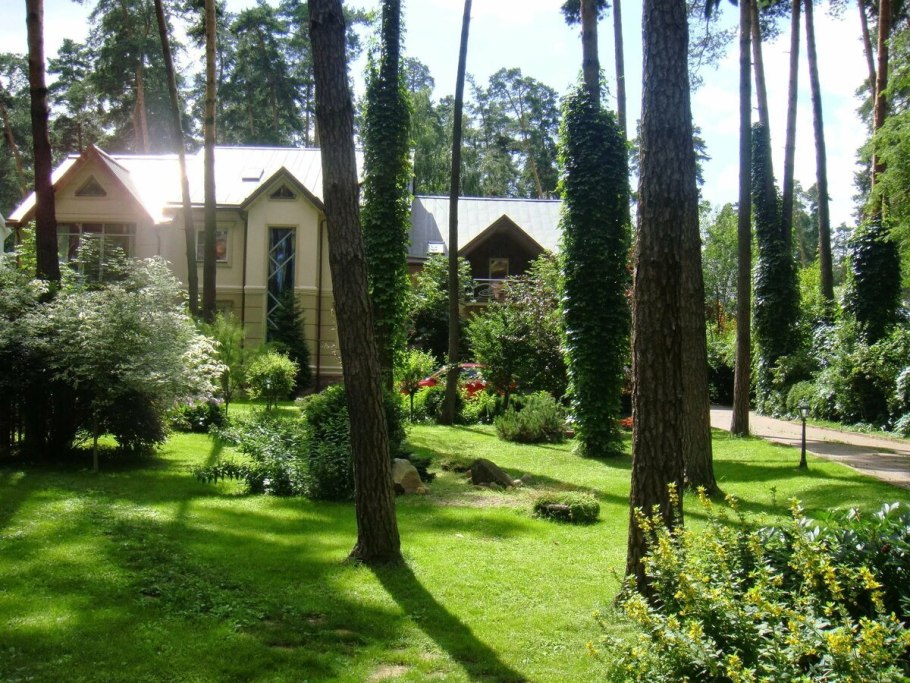 Ландшафт лесного участка 30 соток