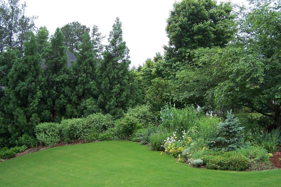 Лесной миксбордер