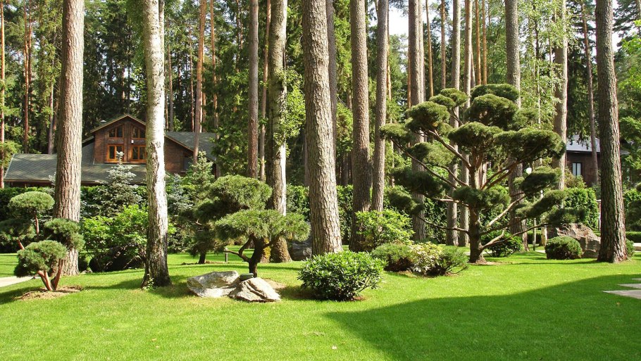 Ландшафт в Сосновом Бору