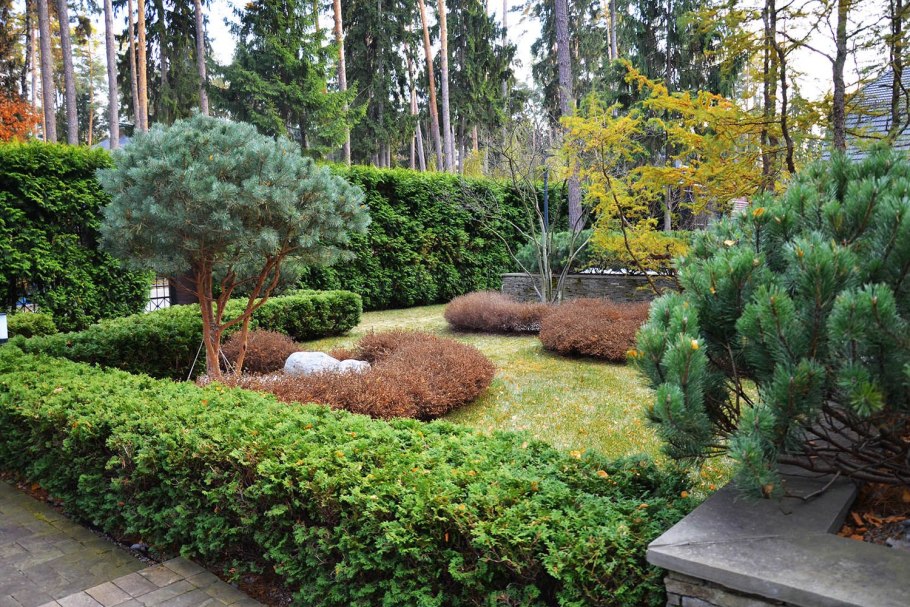 Ландшафтная студия Аркадия Гарден